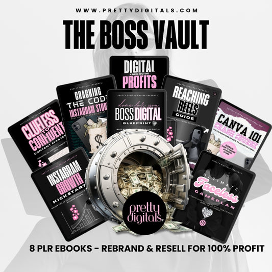 Boss Vault Bundle - Learn To Sell Digital products